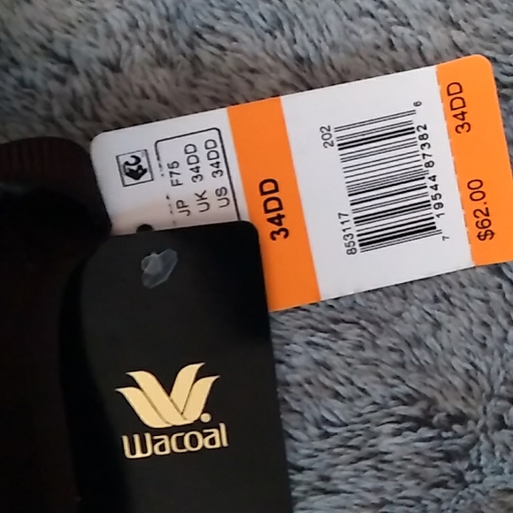 Brand new Wacoal bra - Picture 4 of 4